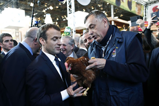 blog -Macron accepte une poule au salon-de-l-agriculture-samedi-24-fevrier-a-paris (1).jpg